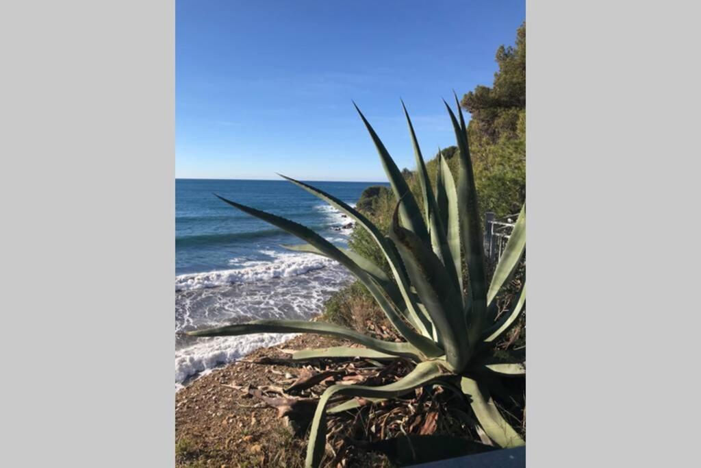 La Petite Pinede Studio Climatise Proche Plage Sanary-sur-Mer Exteriér fotografie